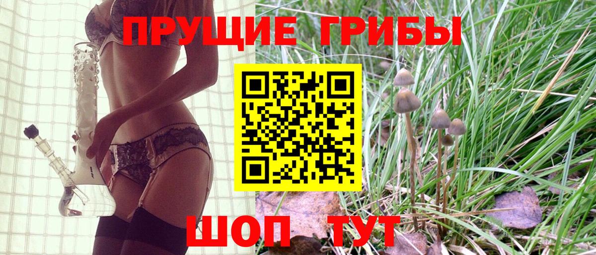 Галлюциногенные грибы Magic Shrooms  Псилоцибиновые грибы Psilocybe  Нижнекамск  Вход с VPN 